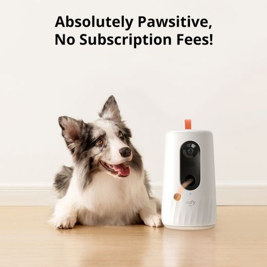 Best dog treat camera outlet